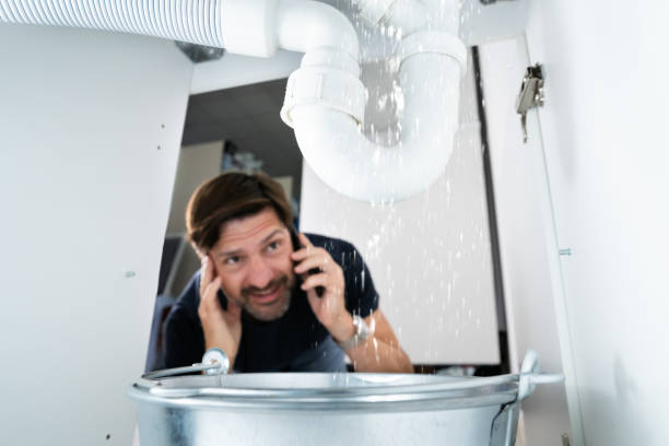 Best Affordable Plumbing Services  in Columbus Junction, IA